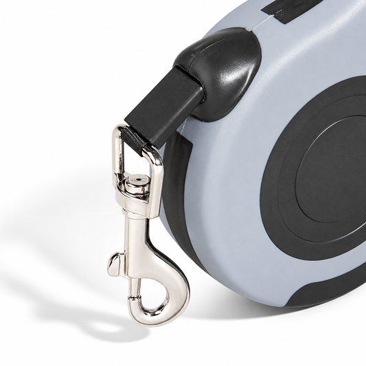 Ramble™ Retractable Dog Lead