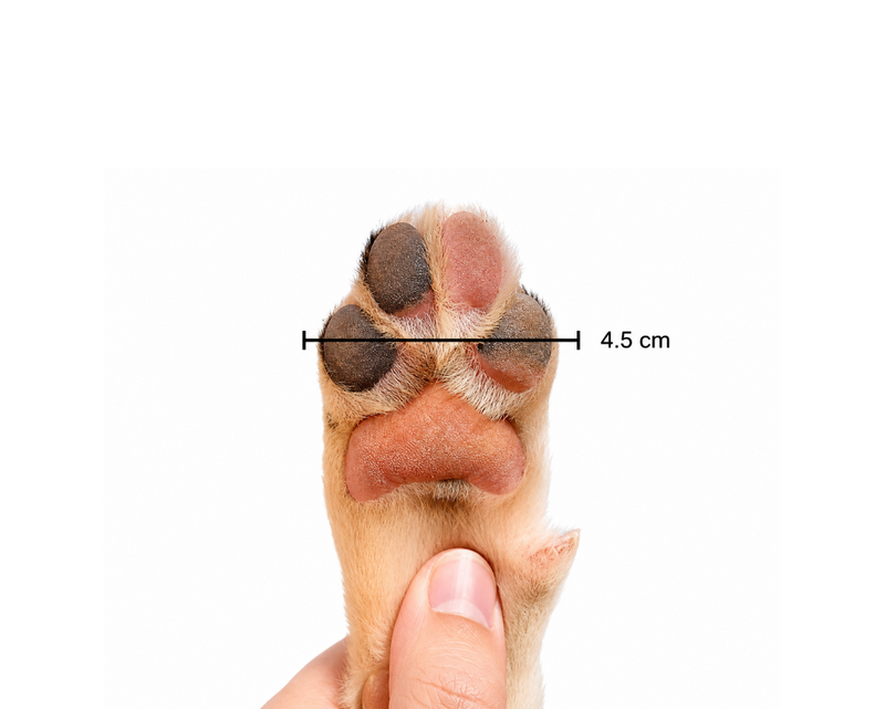 The right fit makes all the difference. Check the size guide before you order.