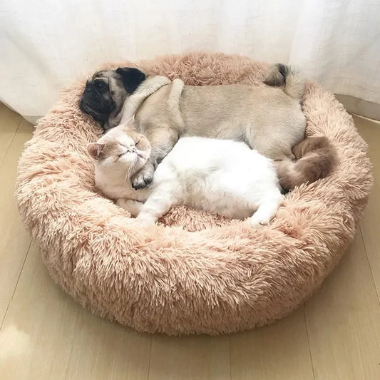 HomePaw Cozy Cloud Cat Bed - cat sleeping comfortably in plush cloud bed