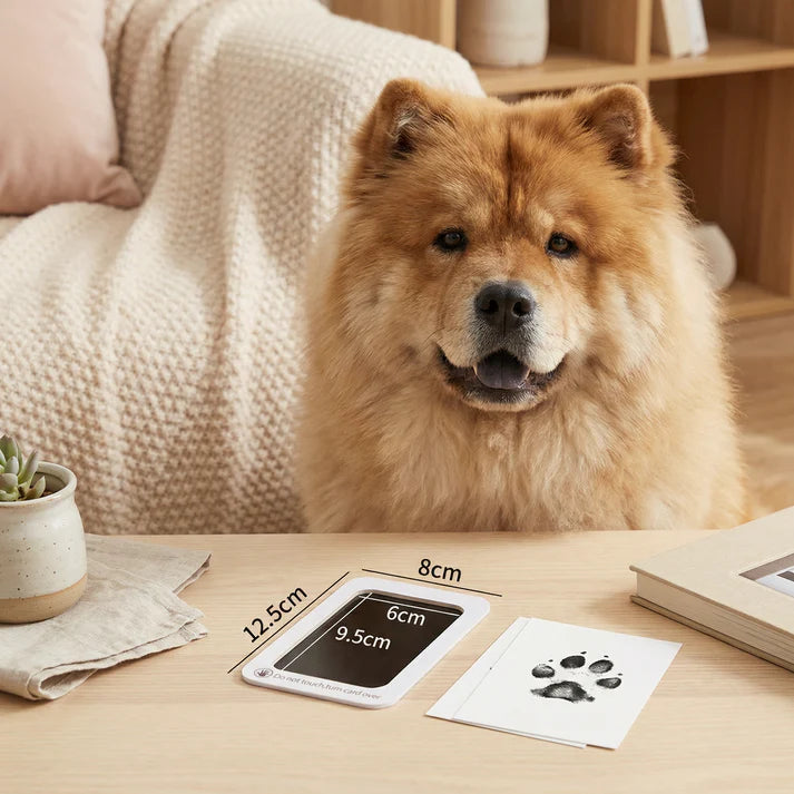 Paw Print Ink Pad Kit - Clean-Touch DIY Keepsake