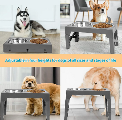 Adjustable Elevated Slow Feeder Dog Bowl