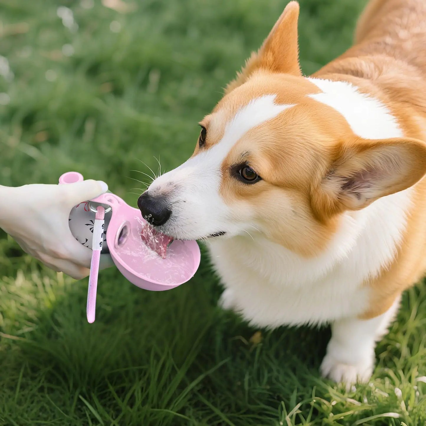 Dog Portable Water Bottle