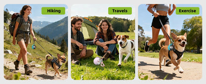 Dog Portable Water Bottle