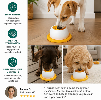 Interactive Slow Feeder Lick Bowl