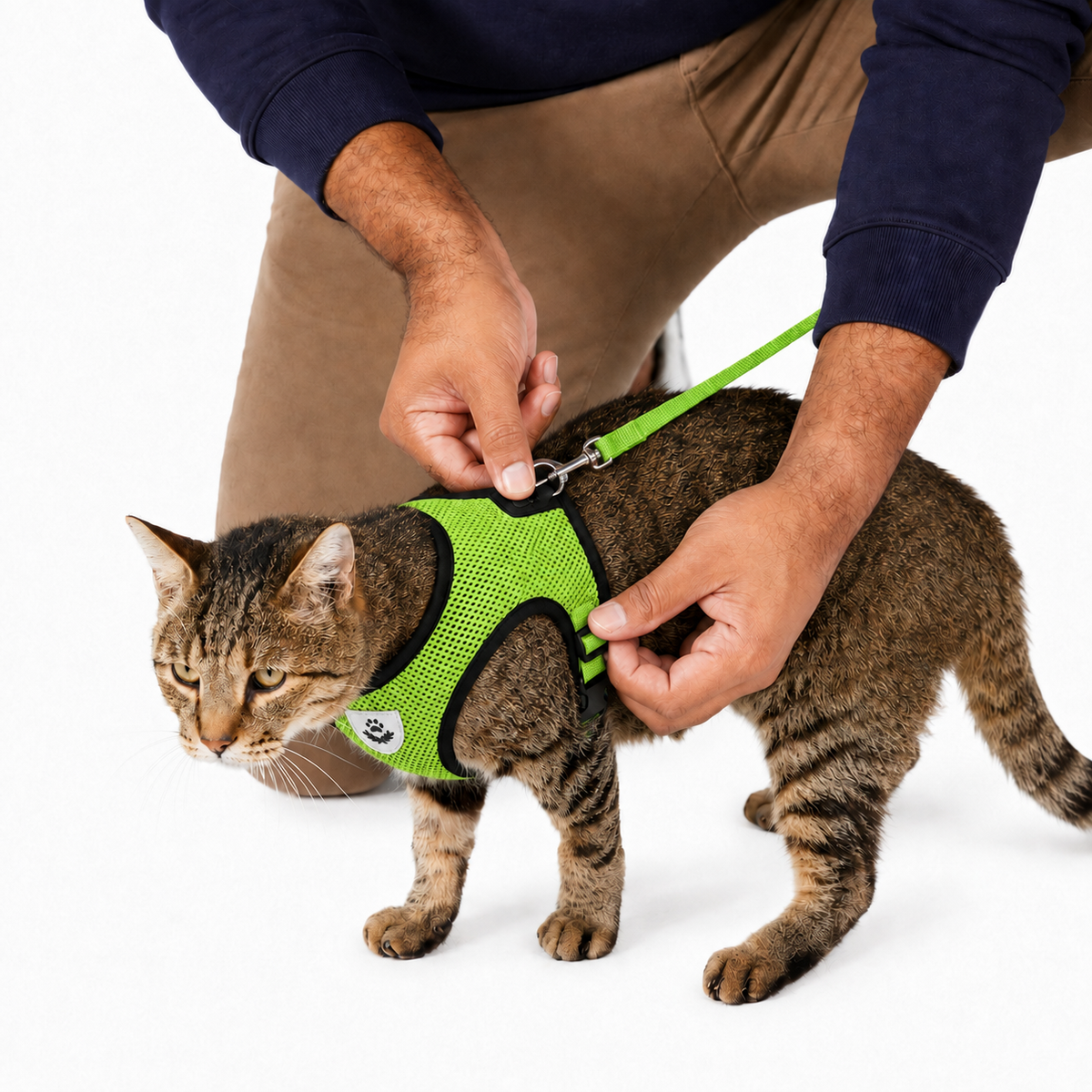 SafeStride™ Harness & Lead Set