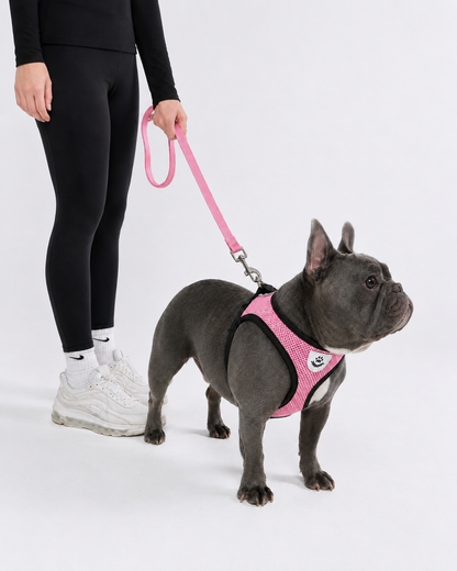 SafeStride™ Harness & Lead Set