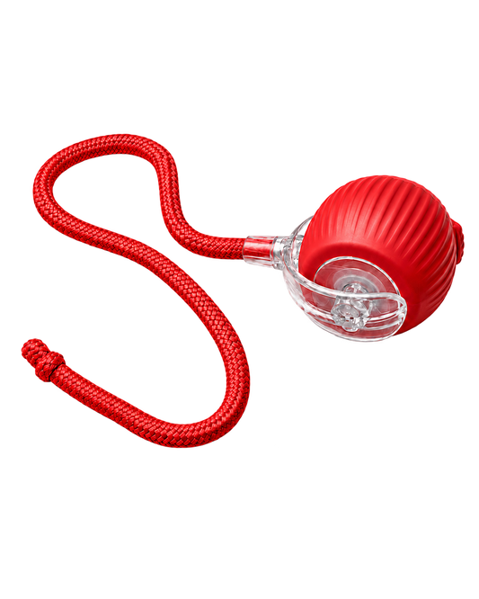 Auto-Rolling Ball