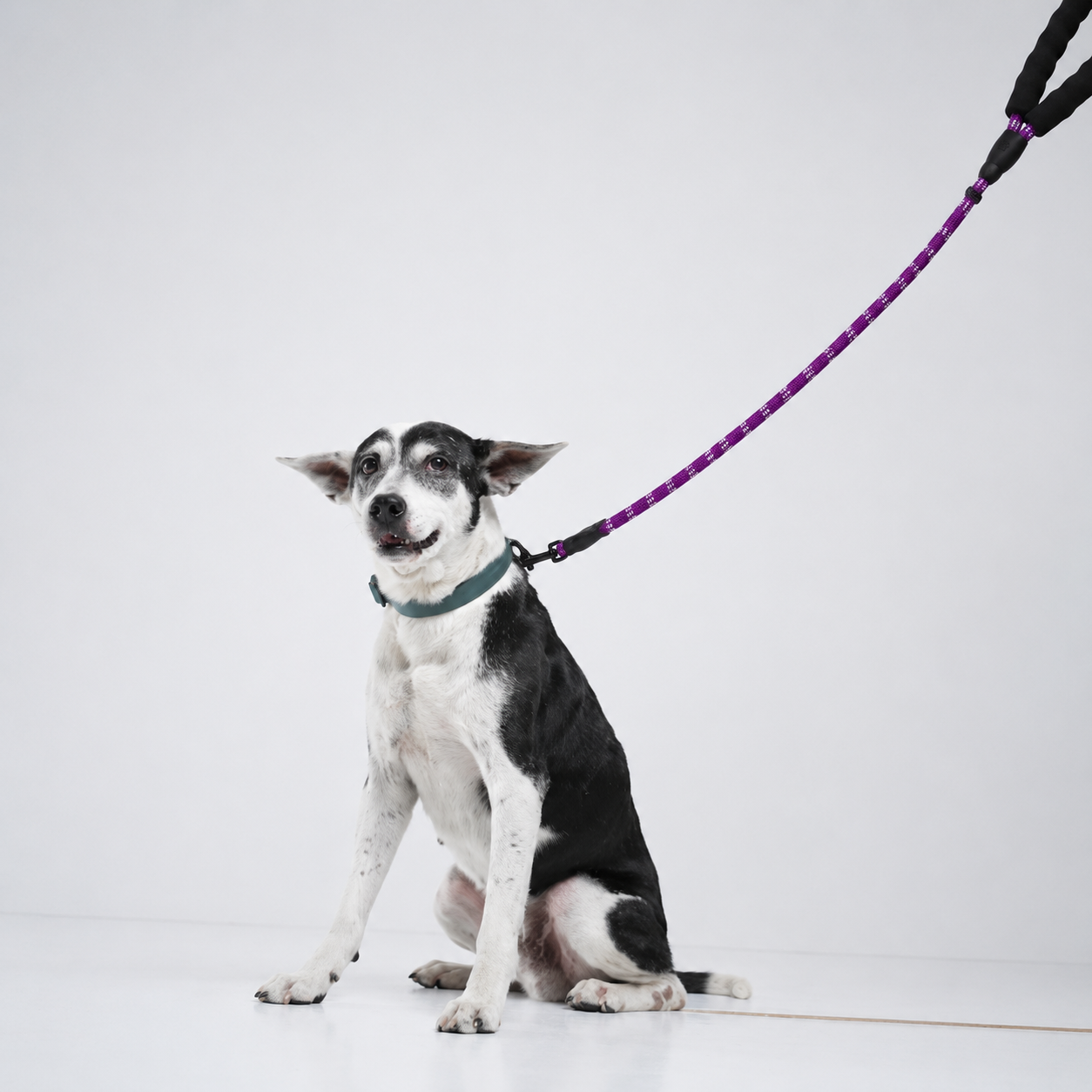 Reflective Padded Rope Lead