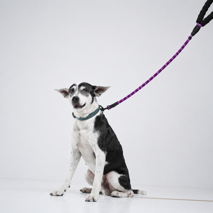 Reflective Padded Rope Lead