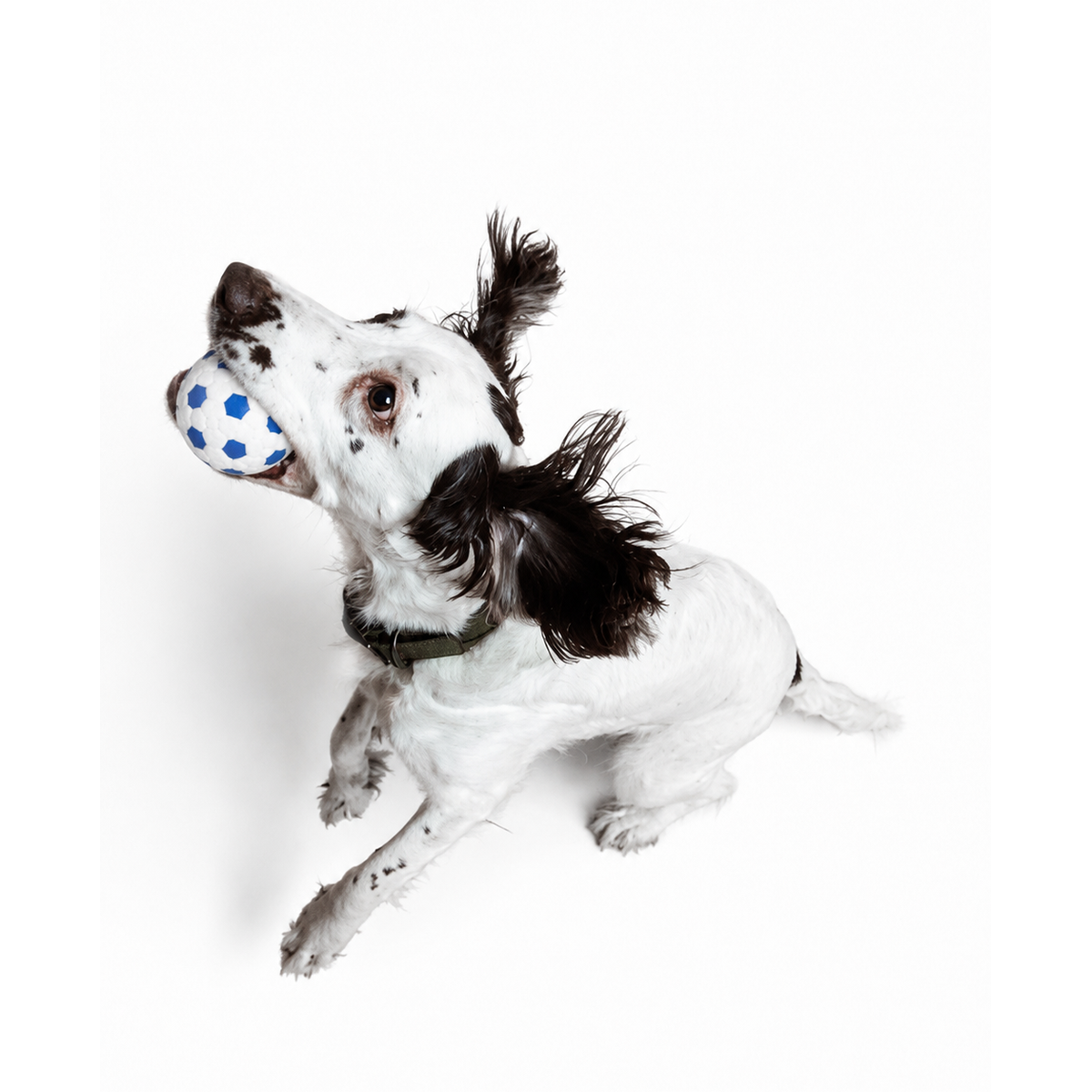 Indestructible Ball®