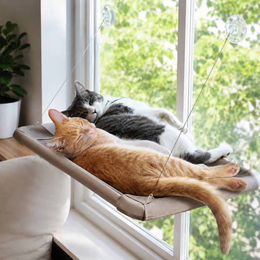 HomePaw Cat Window Hammock Bed SkyRest - suction cup window hammock for cats in the UK