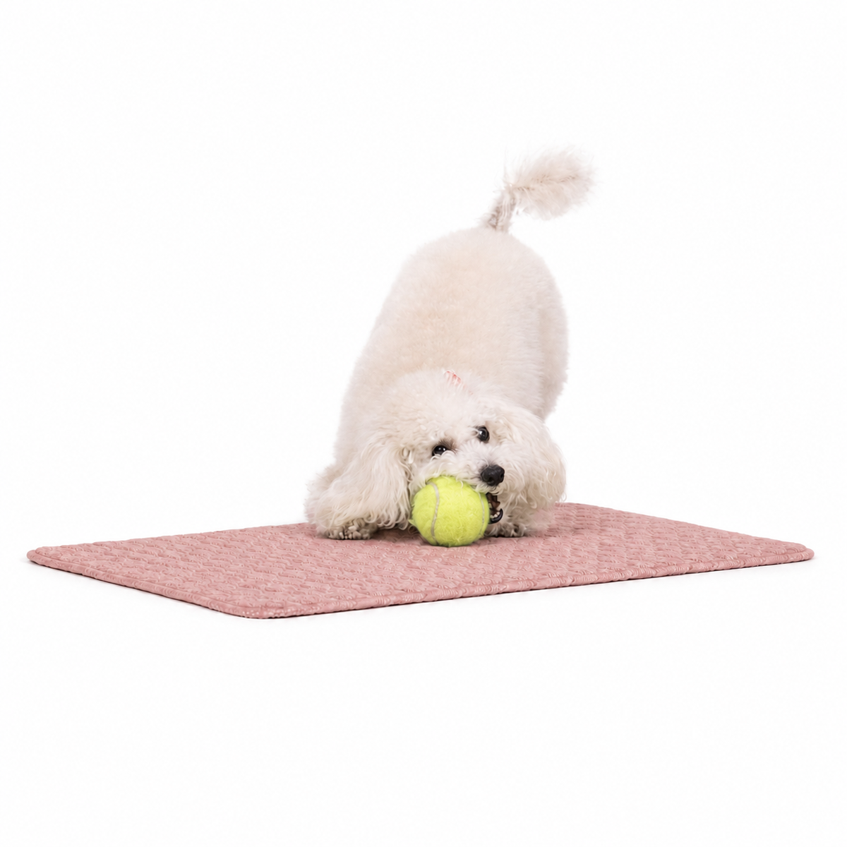 CoolPaw™ Cooling Mat