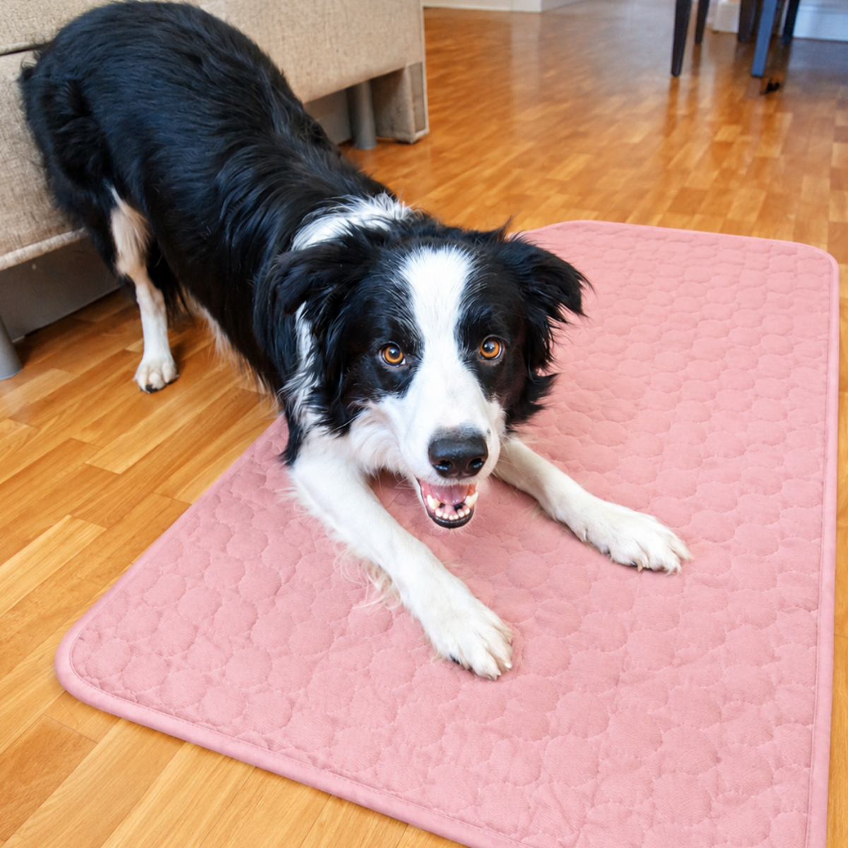 CoolPaw™ Cooling Mat