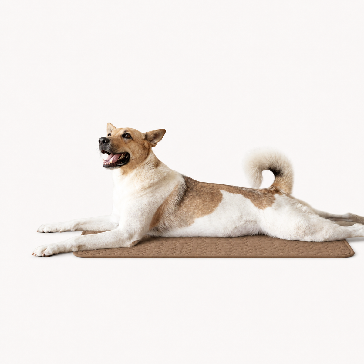 CoolPaw™ Cooling Mat