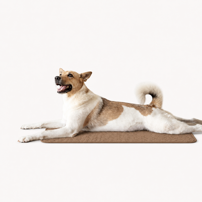 CoolPaw™ Cooling Mat