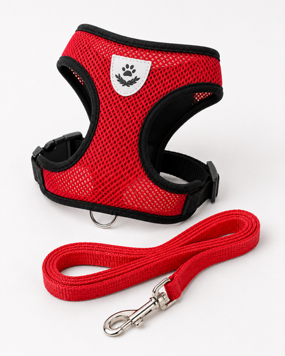 SafeStride™ Harness & Lead Set