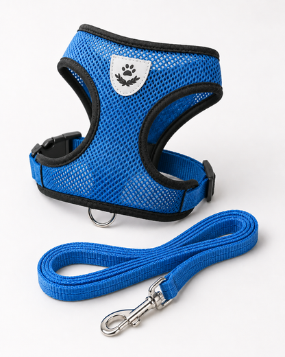 SafeStride™ Harness & Lead Set