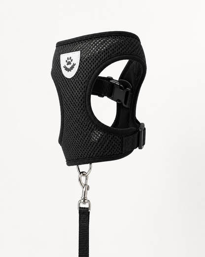SafeStride™ Harness & Lead Set