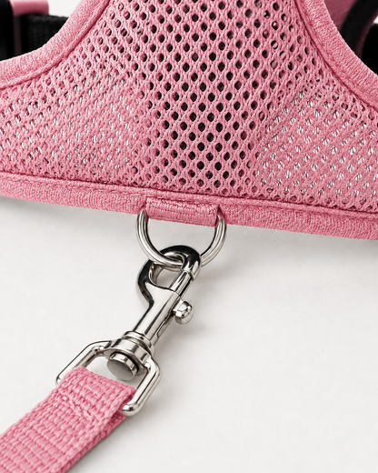 SafeStride™ Harness & Lead Set