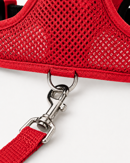 SafeStride™ Harness & Lead Set