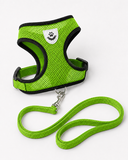 SafeStride™ Harness & Lead Set