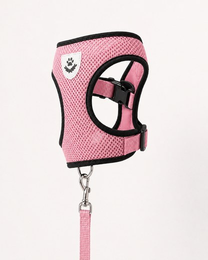 SafeStride™ Harness & Lead Set