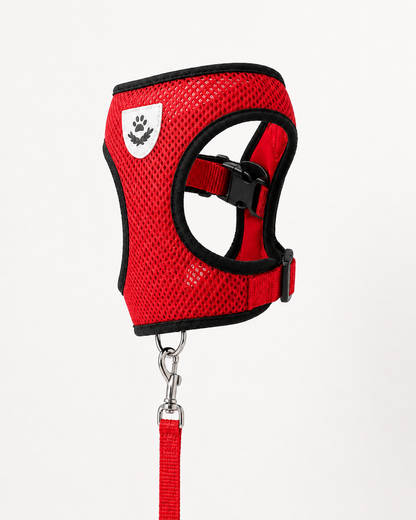 SafeStride™ Harness & Lead Set