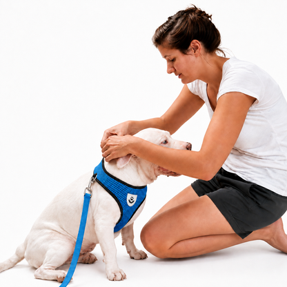 SafeStride™ Harness & Lead Set