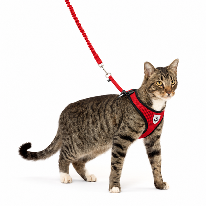 SafeStride™ Harness & Lead Set