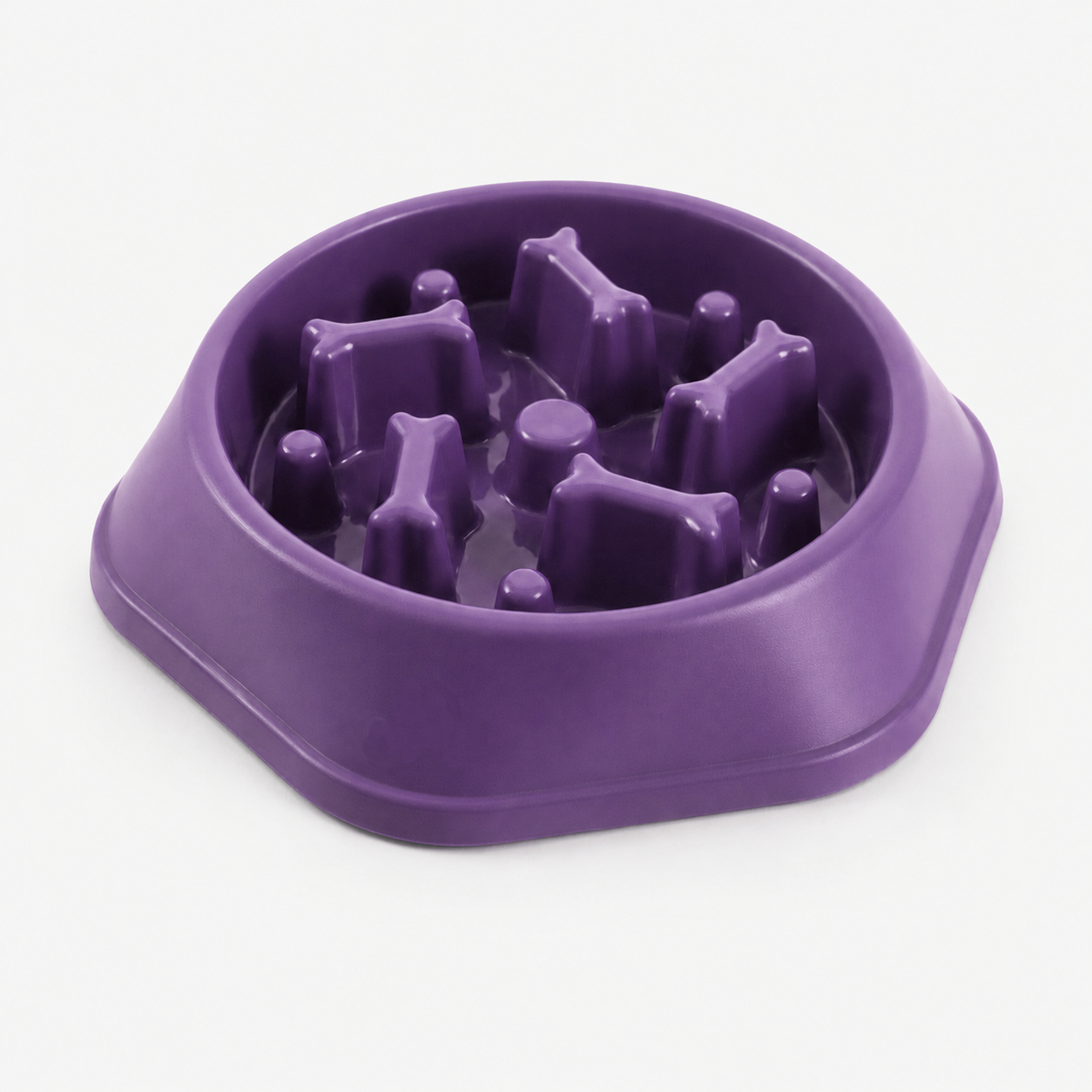 Slow Feeder Dog Bowl
