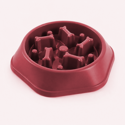 Slow Feeder Dog Bowl