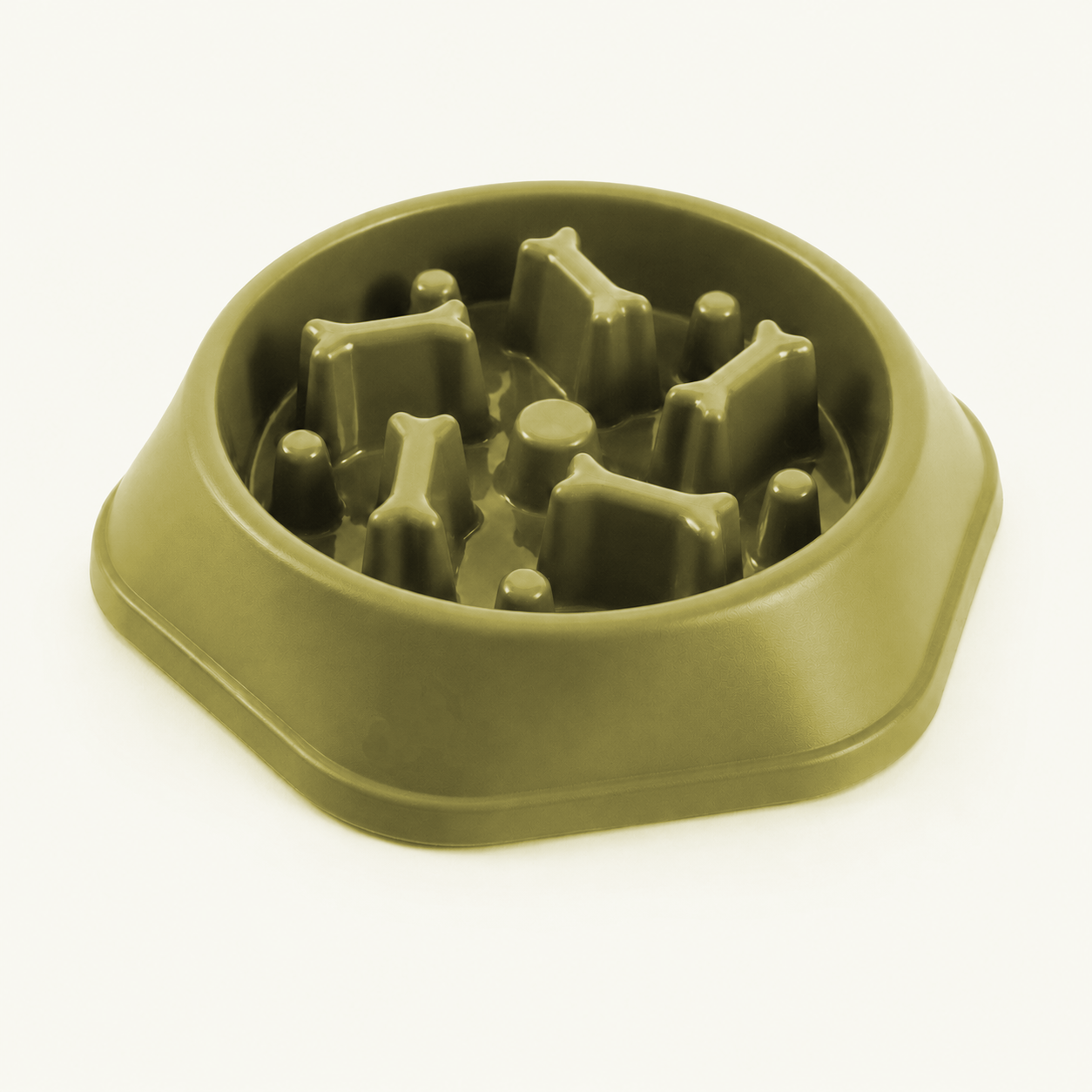 Slow Feeder Dog Bowl