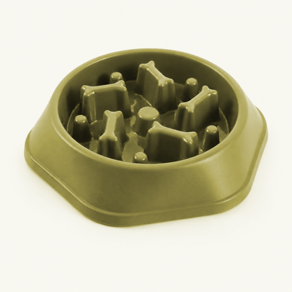 Slow Feeder Dog Bowl