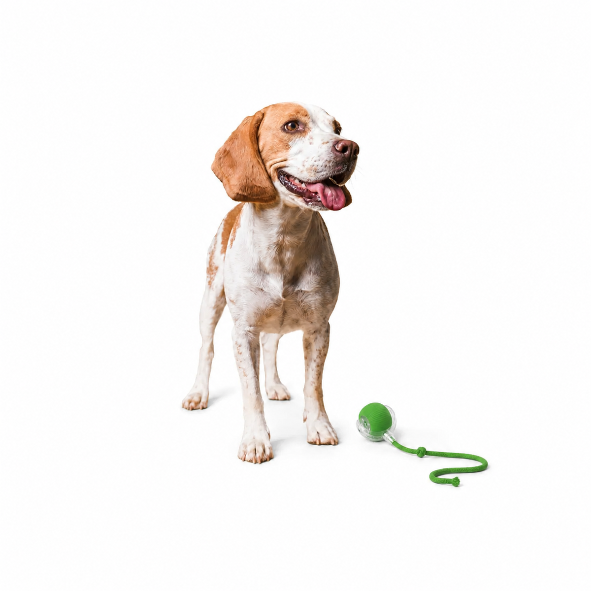 Auto-Rolling Ball