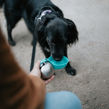 2-in-1 Dog Travel Bottle