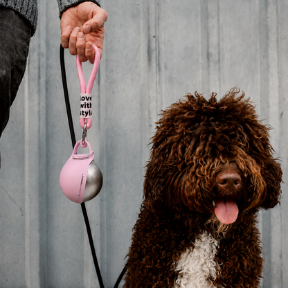2-in-1 Dog Travel Bottle