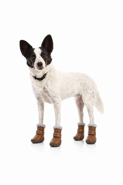 WarmStep™ Dog Boots