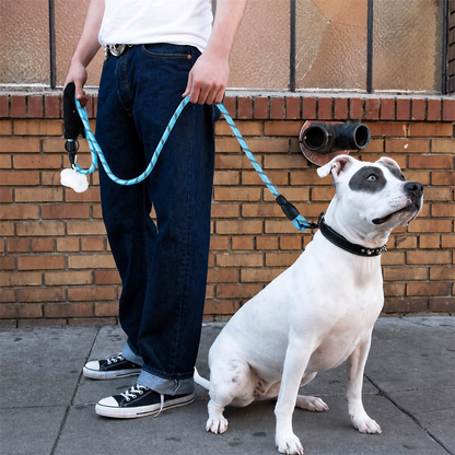 Reflective Padded Rope Lead