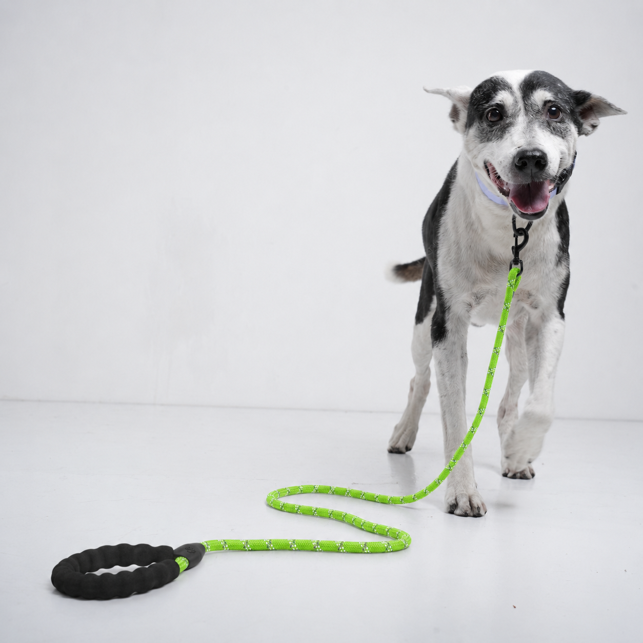 Reflective Padded Rope Lead