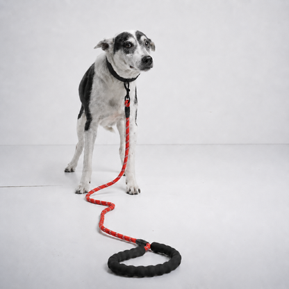 Reflective Padded Rope Lead