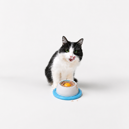 Interactive Lick Bowl®