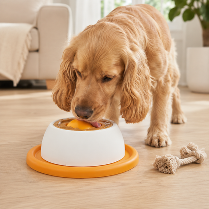 Interactive Slow Feeder Lick Bowl