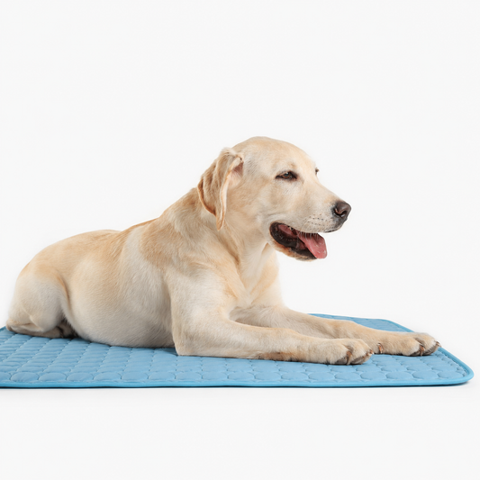 CoolPaw™ Cooling Mat