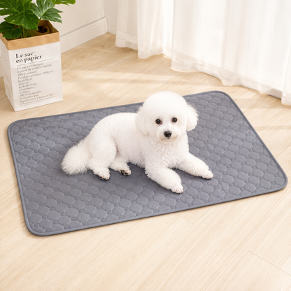 HomePaw Waterproof Pad for Dogs - dog resting on waterproof pad at home