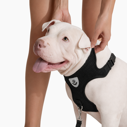 Adjustable Mesh Pet Harness