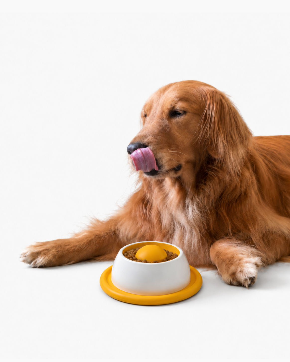 Interactive Lick Bowl®