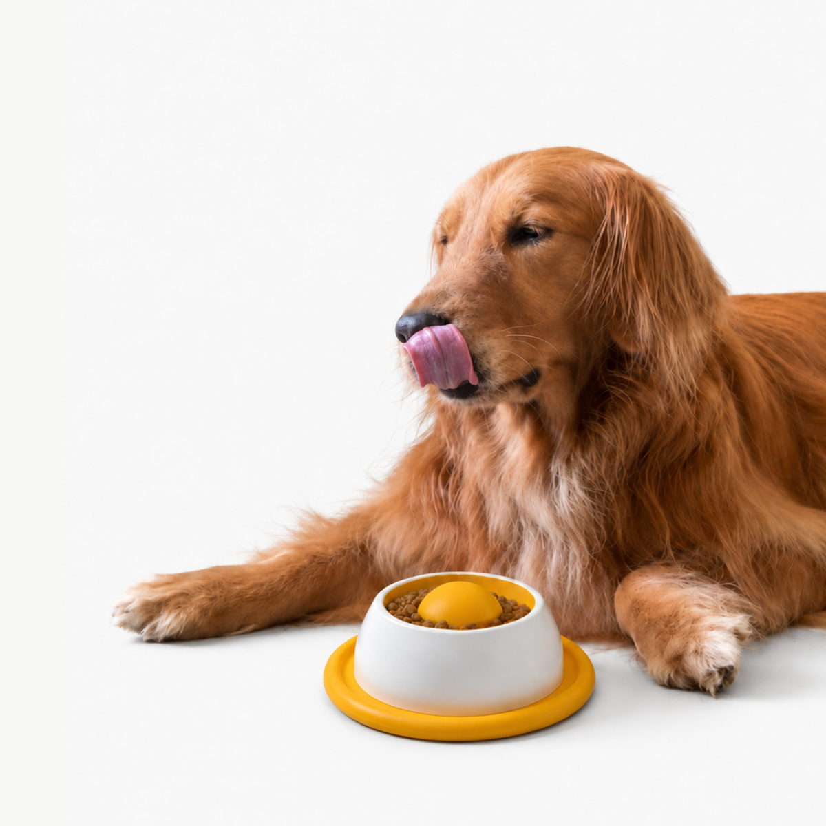 Interactive Lick Bowl®