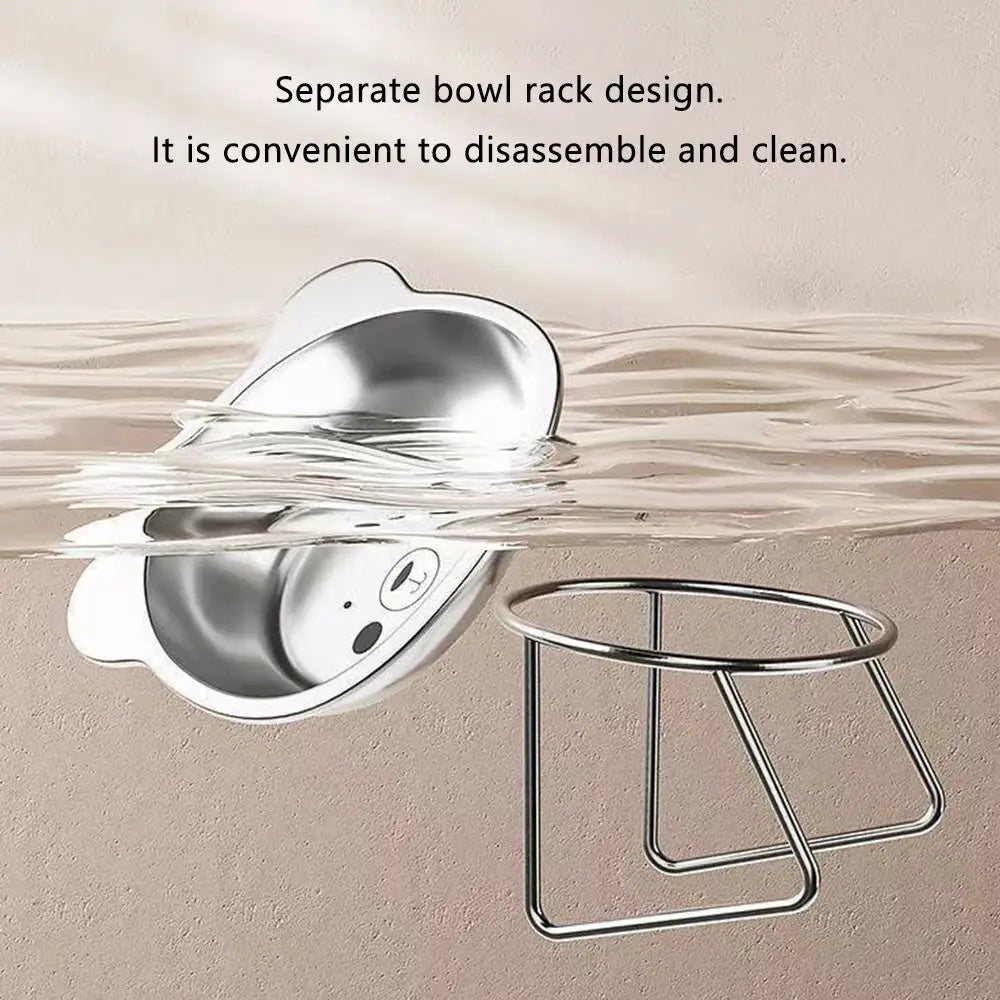 Raised Cat Bowl — Stainless Steel Tilted Feeder