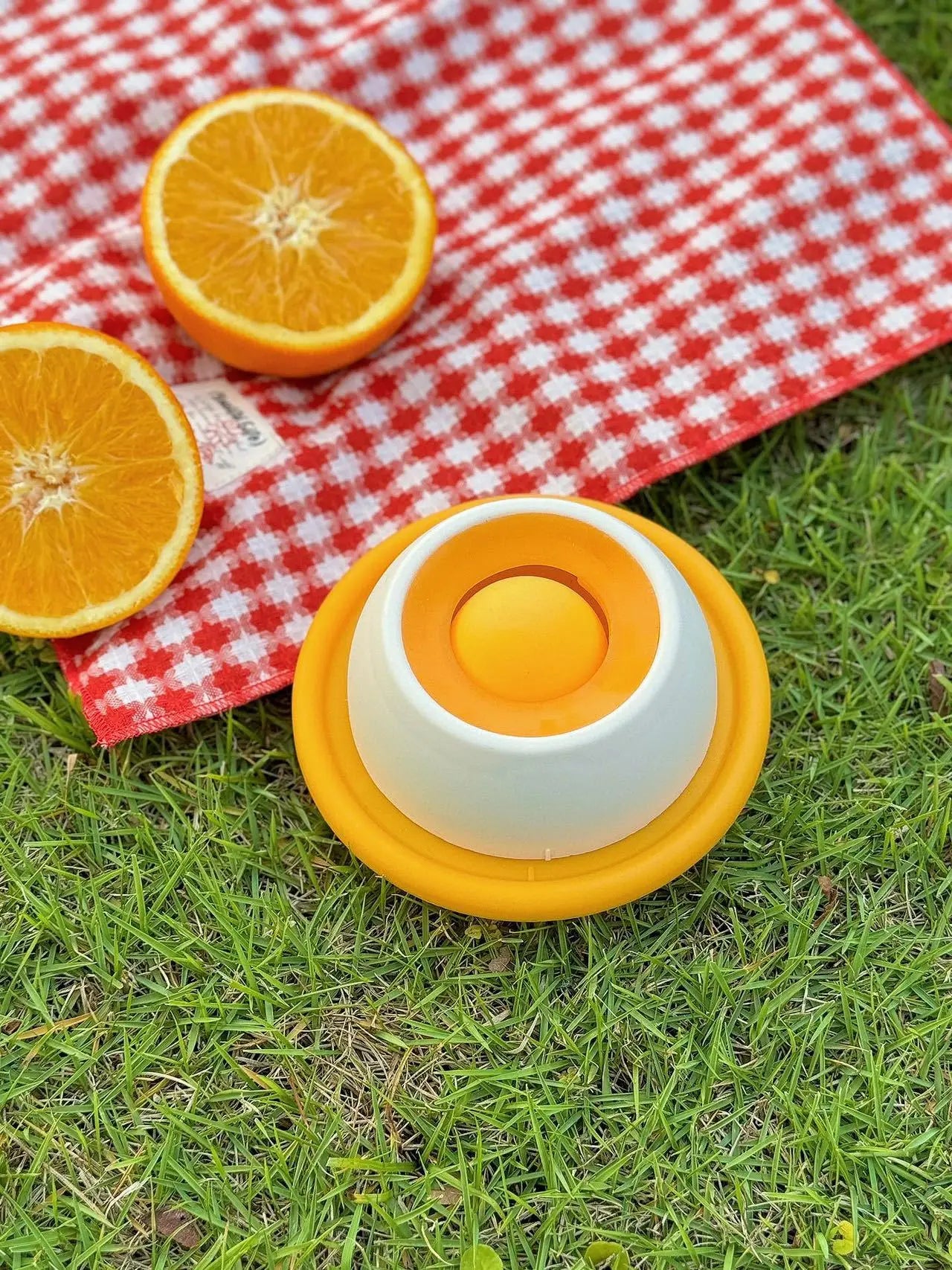 Interactive Slow Feeder Lick Bowl