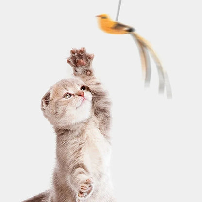 Simulated Bird Playmate - Cat Toy